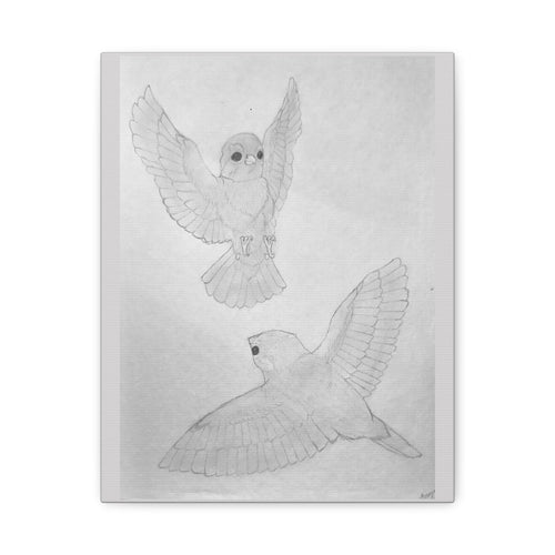 "Finch Study" Stretched Canvas