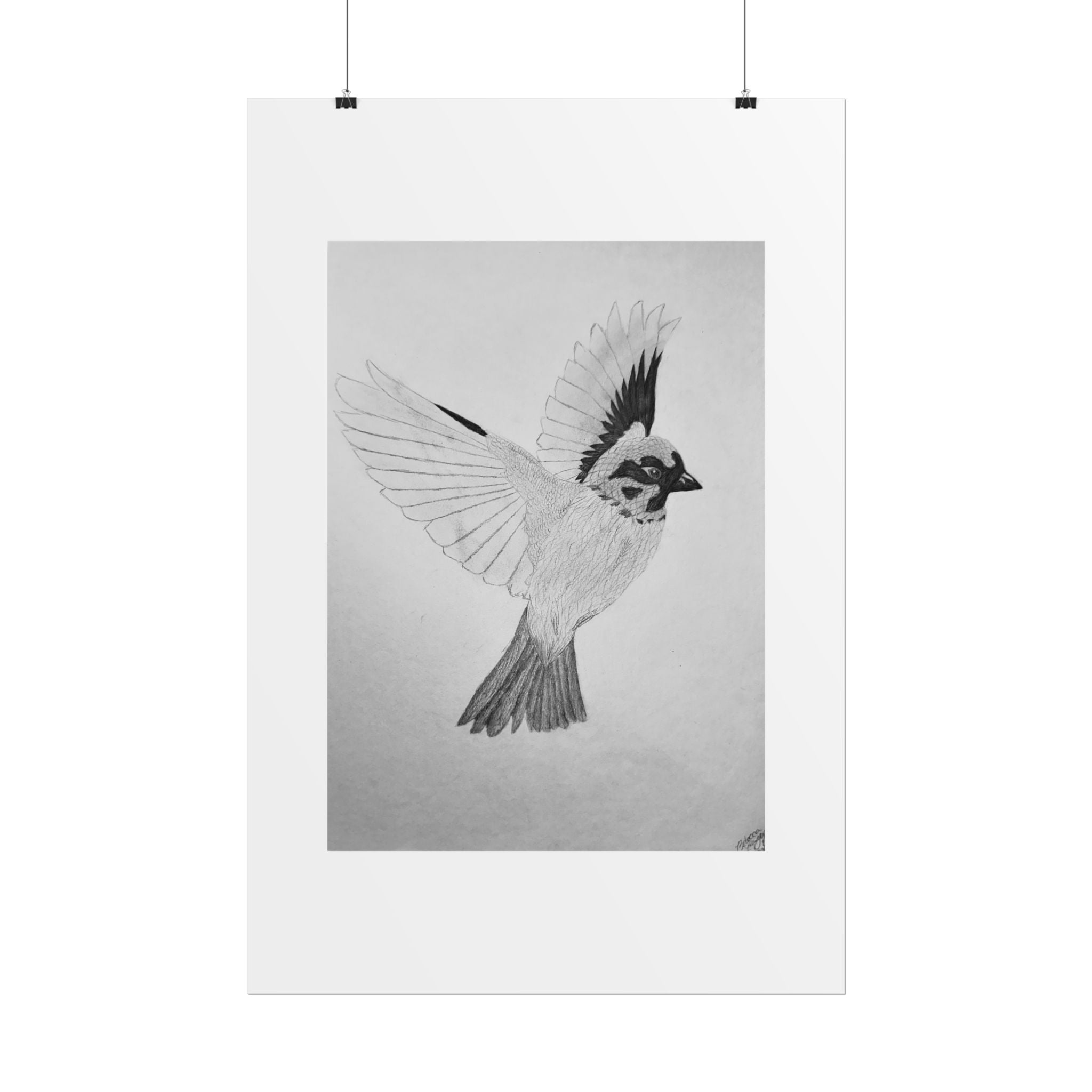 "Songbird Study" Limited Edition Print
