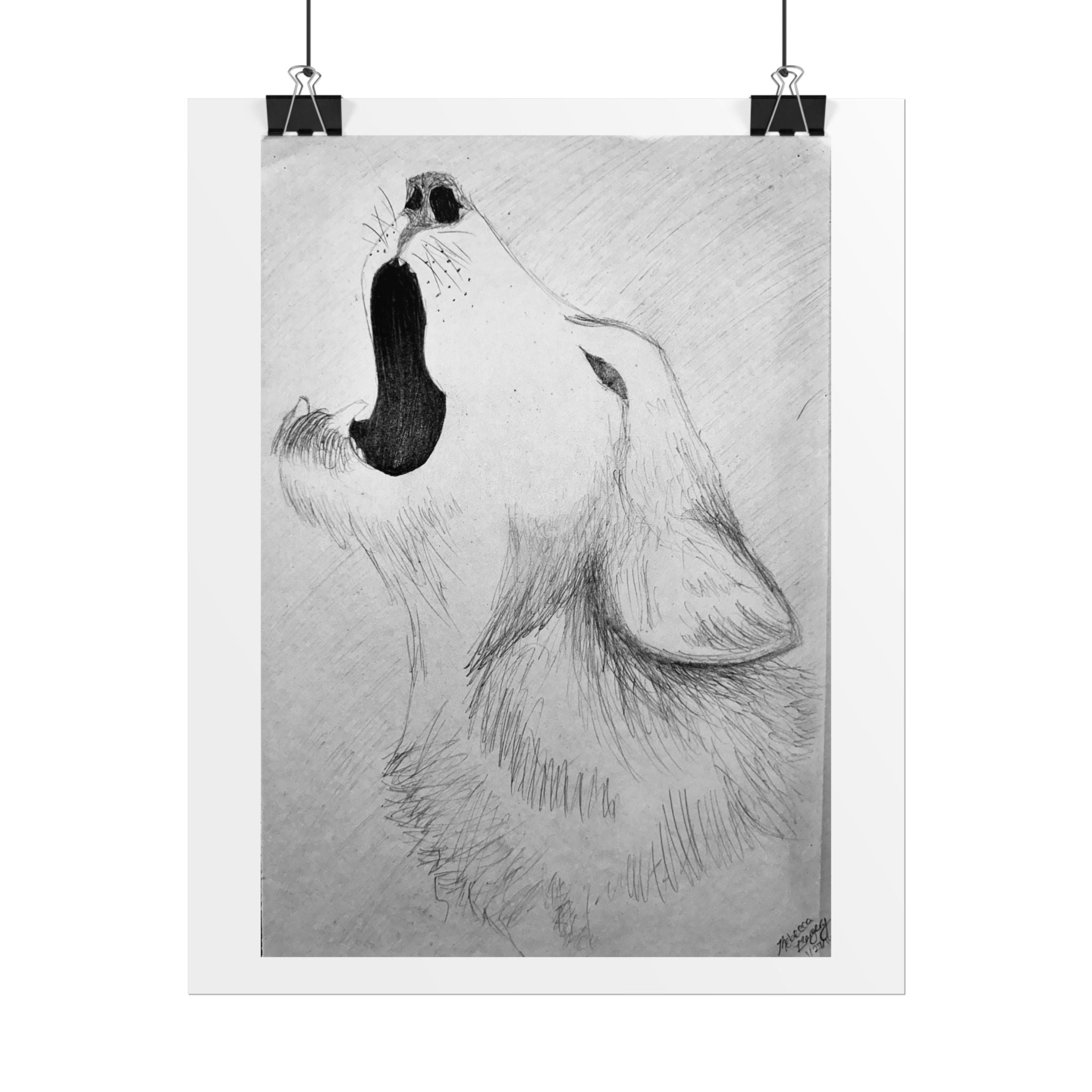 "Wolf Study" Limited Edition Print