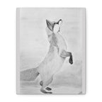 "Fox Study" Stretched Canvas