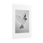 "Songbird Study" Limited Edition Print