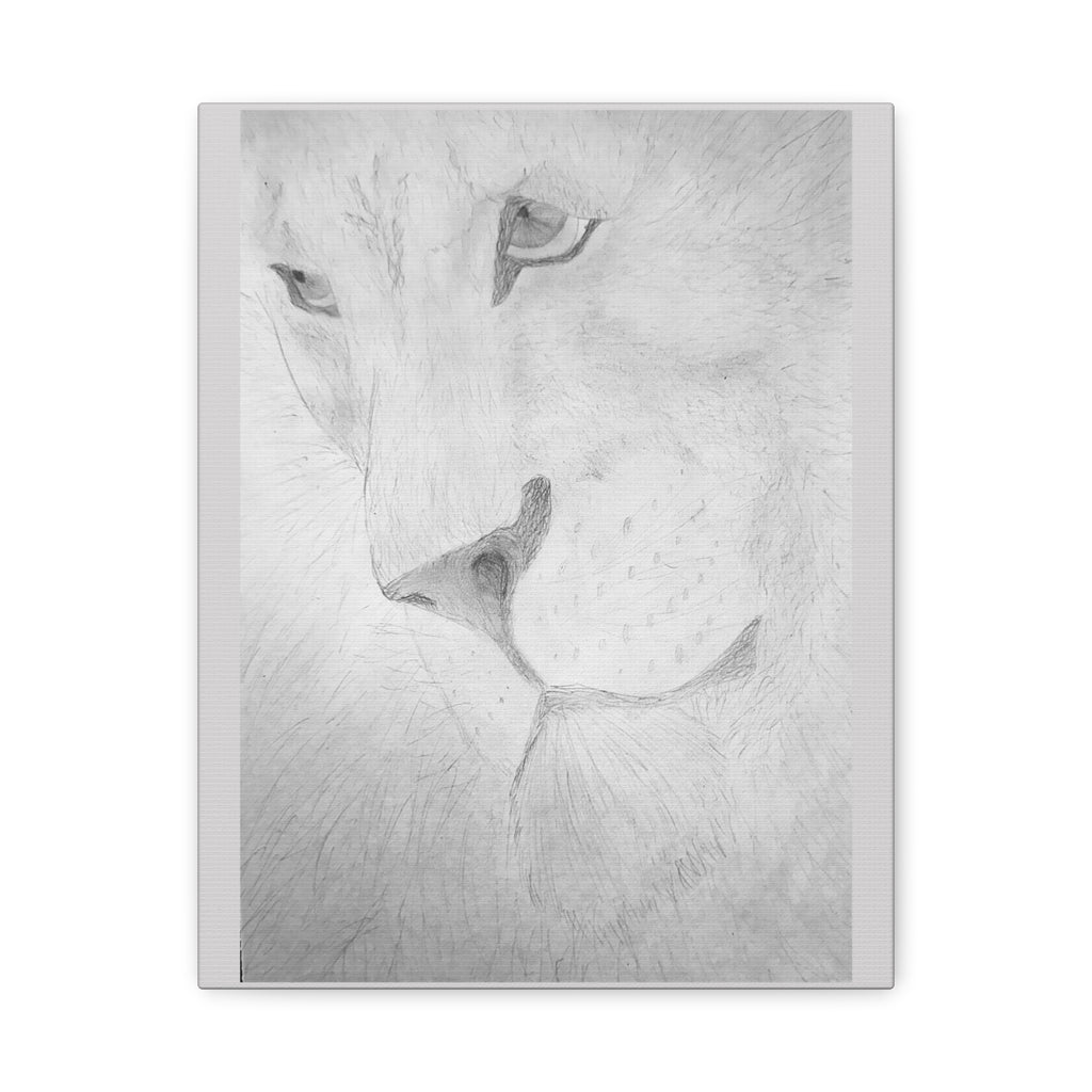 "Lion Study" Stretched Canvas