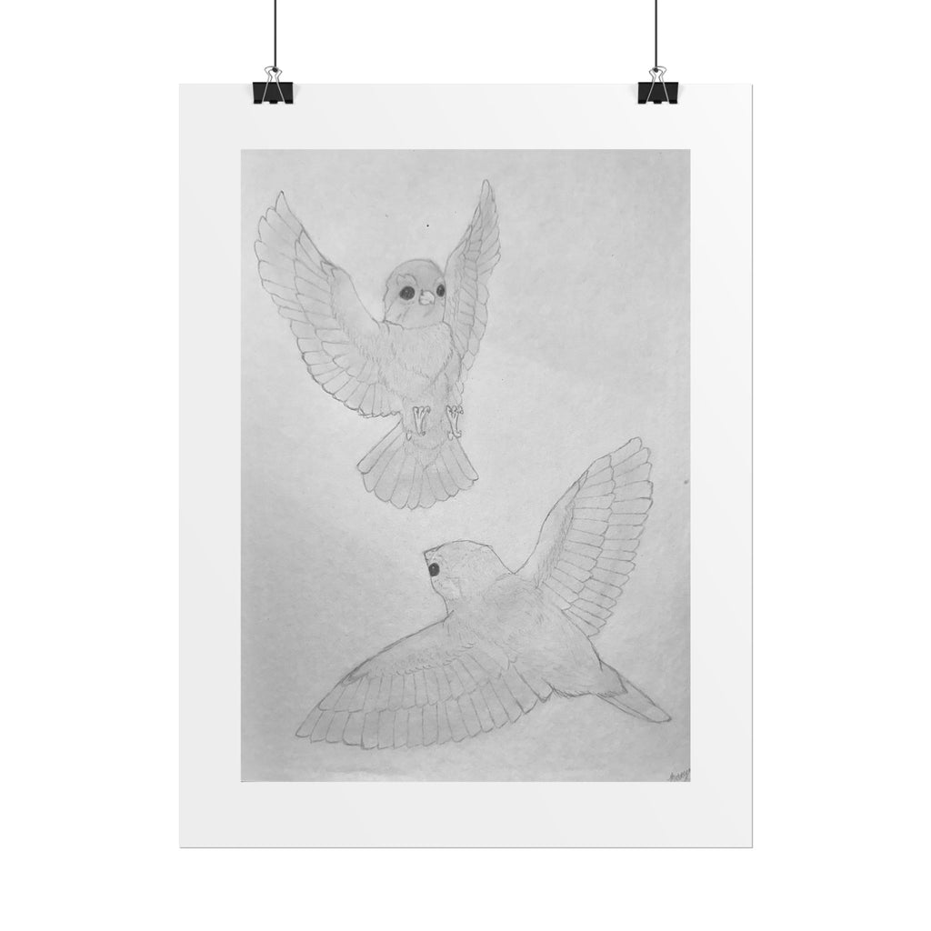 "Finch Study" Limited Edition Print