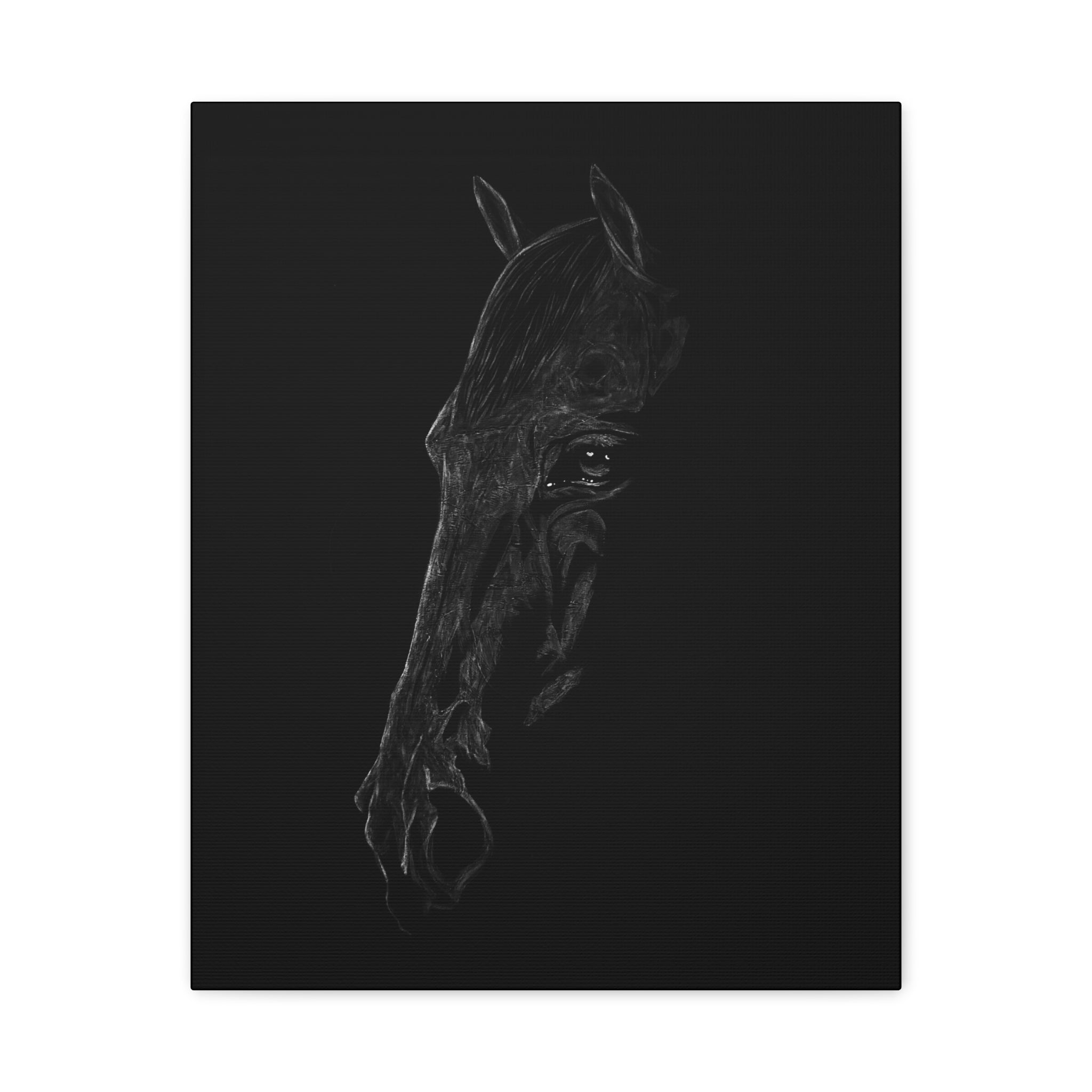 "Still" Stretched Canvas