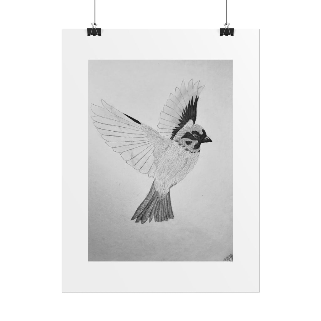 "Songbird Study" Limited Edition Print