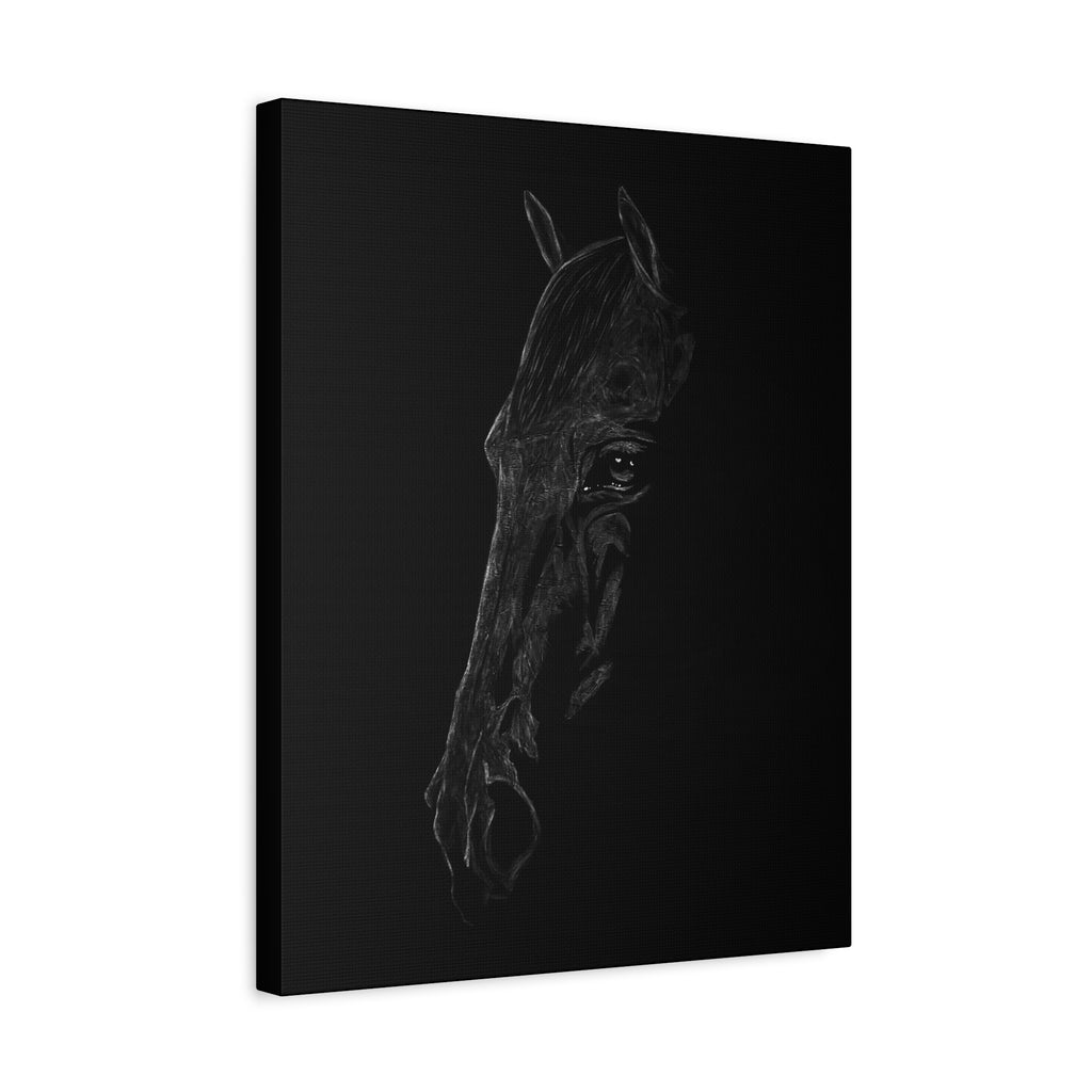 "Still" Stretched Canvas