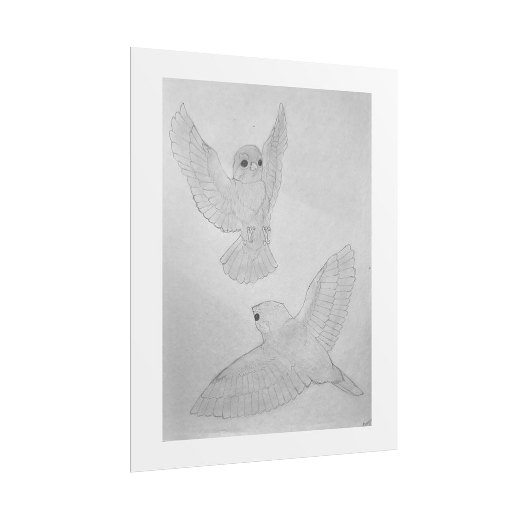 "Finch Study" Limited Edition Print