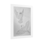"Finch Study" Limited Edition Print