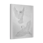 "Finch Study" Stretched Canvas